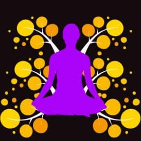 Yoga Espacio