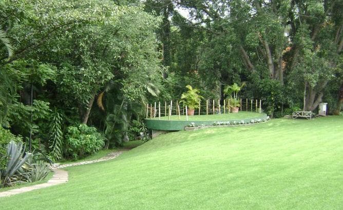 Hotel Jacaranda