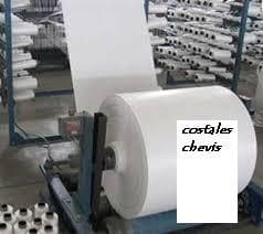 costaleschevis