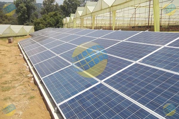 GLOBAL SOLARE